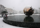 La palla di pomodoro innevata La palla di pomodoro innevata
