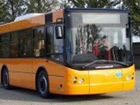 Bus navetta gratuito a Pesaro
