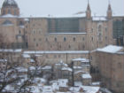 Allerme neve ad Urbino