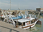 Il porto di Fano