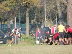 pesarorugby-cardellini