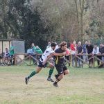 pesarorugby-renobologna