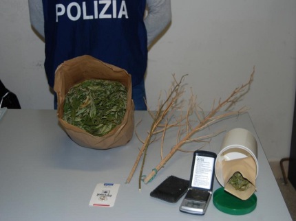 urbino-polizia-marijuana