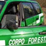 Corpo forestale