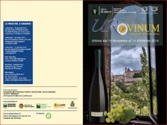 urbino-urvinum