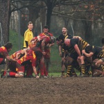 pesarorugby-romagna