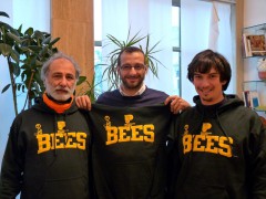 beespesaro-citybrand-ricci