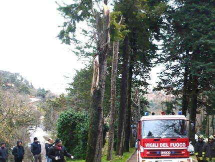 Maltempo ad Urbino: albero si spezza per il vento e uccide una persona