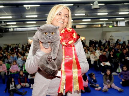 Pesaro-Fiera-Mondogatto