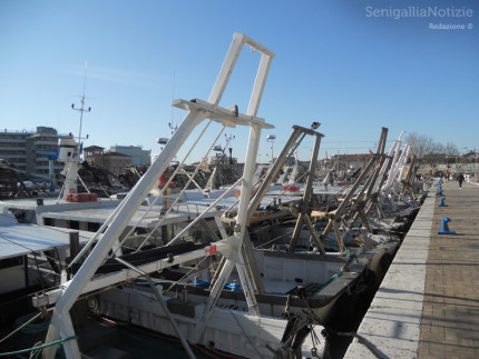 porto, navi, pesca, vongolare