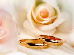 Matrimonio, anelli, sposi