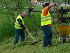 Lavori socialmente utili, lavori di pubblica utilità, manutenzione del verde urbano, pulizia