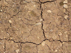 Siccità, caldo, terra secca