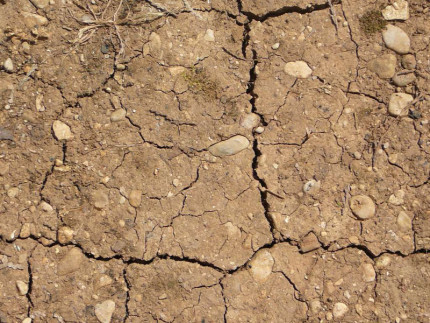 Siccità, caldo, terra secca
