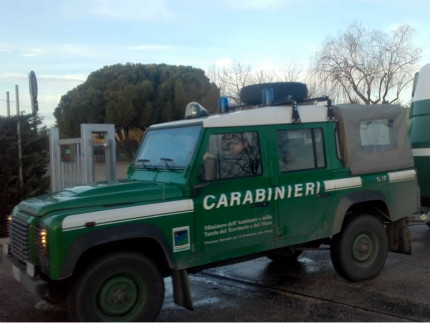 Carabinieri Forestali