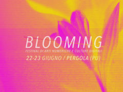 Blooming Festival 2018 a Pergola