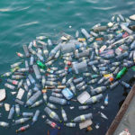 Inquinamento delle acque marine