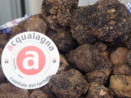 Fiera Regionale del Tartufo Nero Estivo ad Acqualagna