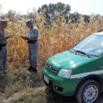 Carabinieri Forestali