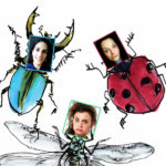 "Terrarium" di Lucio Diana e Adriana Zamboni
