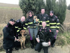 I cani recuperati delle autorità nei pressi dell’autostrada