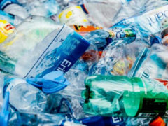 Le Marche prima regione d’Italia plastic free