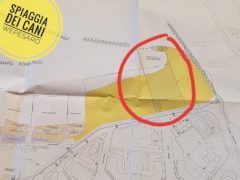Spiaggia per cani a Pesaro