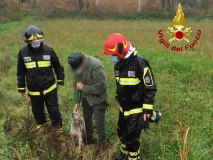 Cane disperso e recuperato nei pressi del fiume Foglia