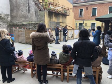 Murale realizzato a Pesaro