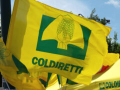 Bandiera di Coldiretti