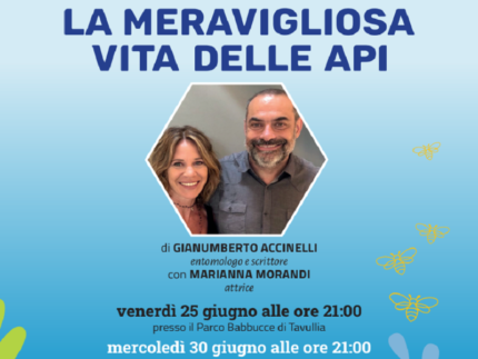 "La meravigliosa vita delle api" a Urbino