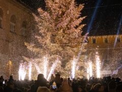 Albero di Natale in piazza XX Settembre a Fano