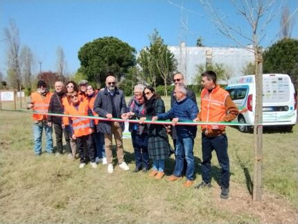 Piantumazione a Fano