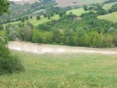 Campi allagati in provincia di Pesaro Urbino