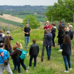 Il Calice Racconta - Visite in cantina