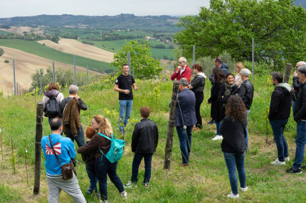 Il Calice Racconta - Visite in cantina