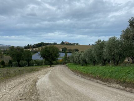 Manutenzione del territorio a Fano