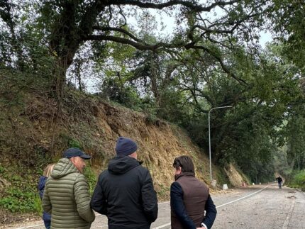 Alberi pericolanti in strada San Bartolo a Pesaro