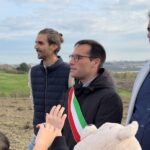 Festa degli Alberi a Fano