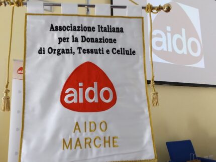 Aido Marche