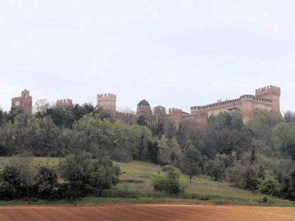 Bosco di Paolo e Francesca a Gradara