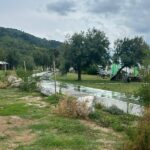 Alberi vandalizzati a Baia Flaminia