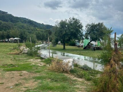 Alberi vandalizzati a Baia Flaminia