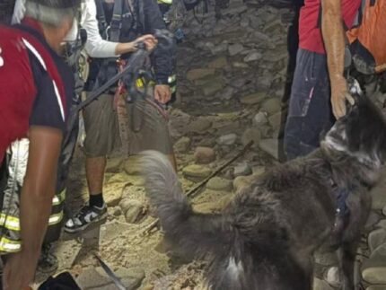 Escursionisti soccorsi sul San Bartolo