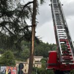 Albero colpito da un fulmine a Sant'Angelo in Vado