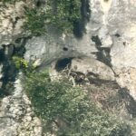 Nido delle aquile al Furlo