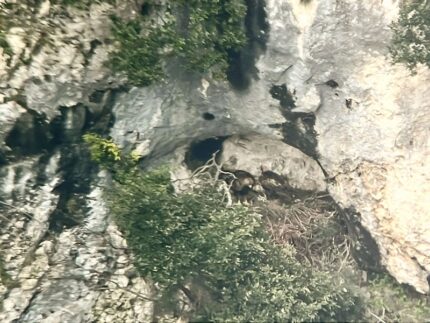 Nido delle aquile al Furlo