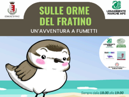 "Sulle orme del fratino" a Fano