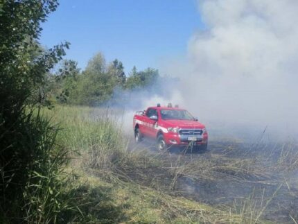 Incendio di sterpaglie a Pesaro