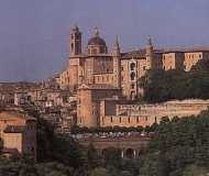 urbino